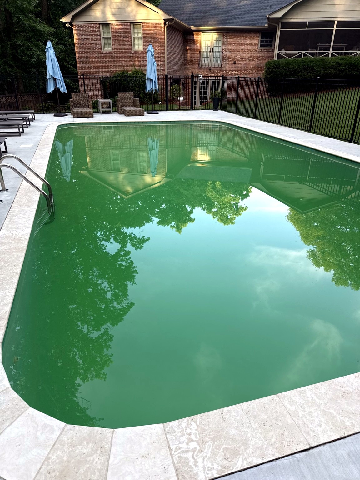 Green pool before cleanup