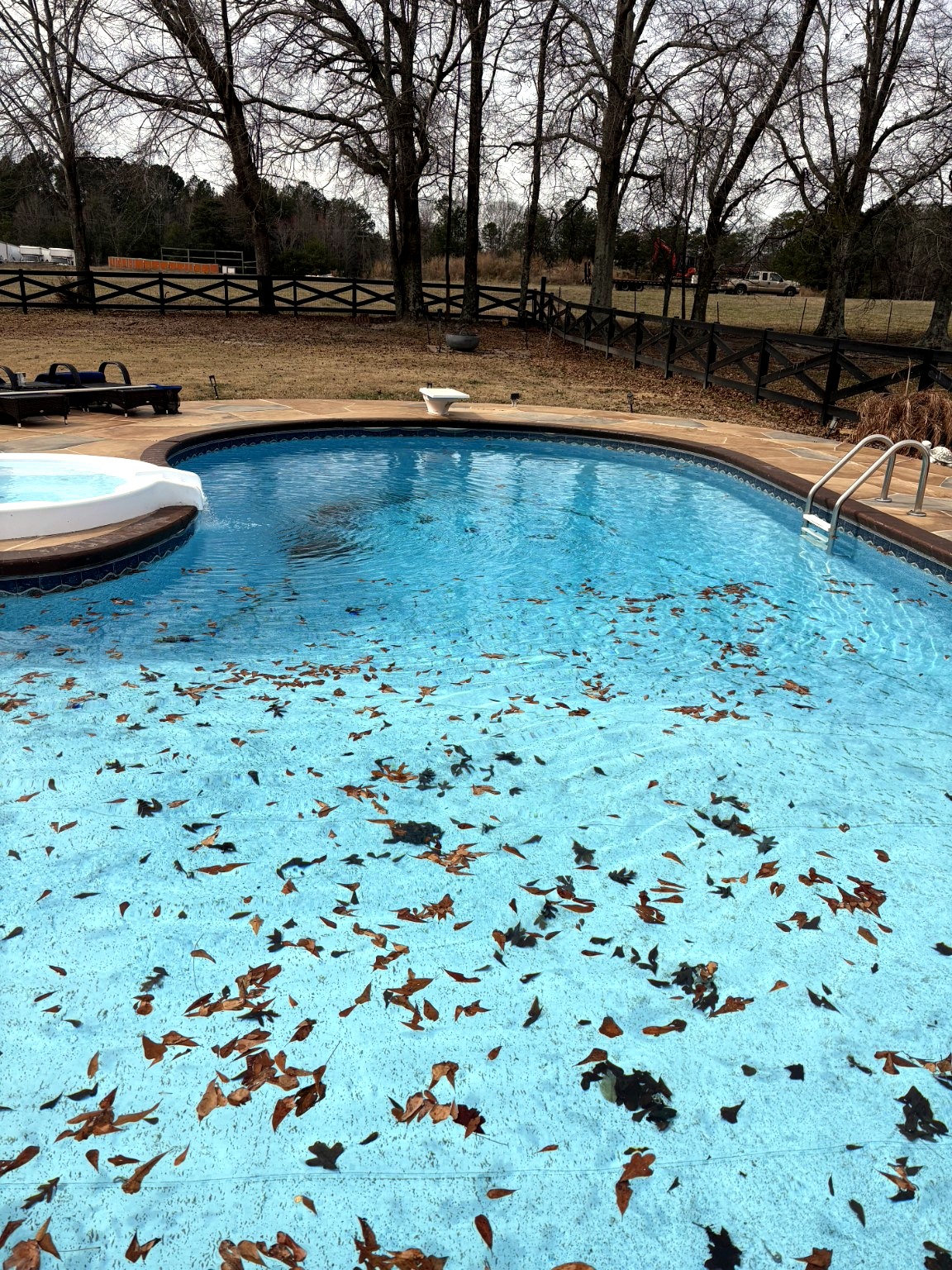 Pool with leaves before cleanup