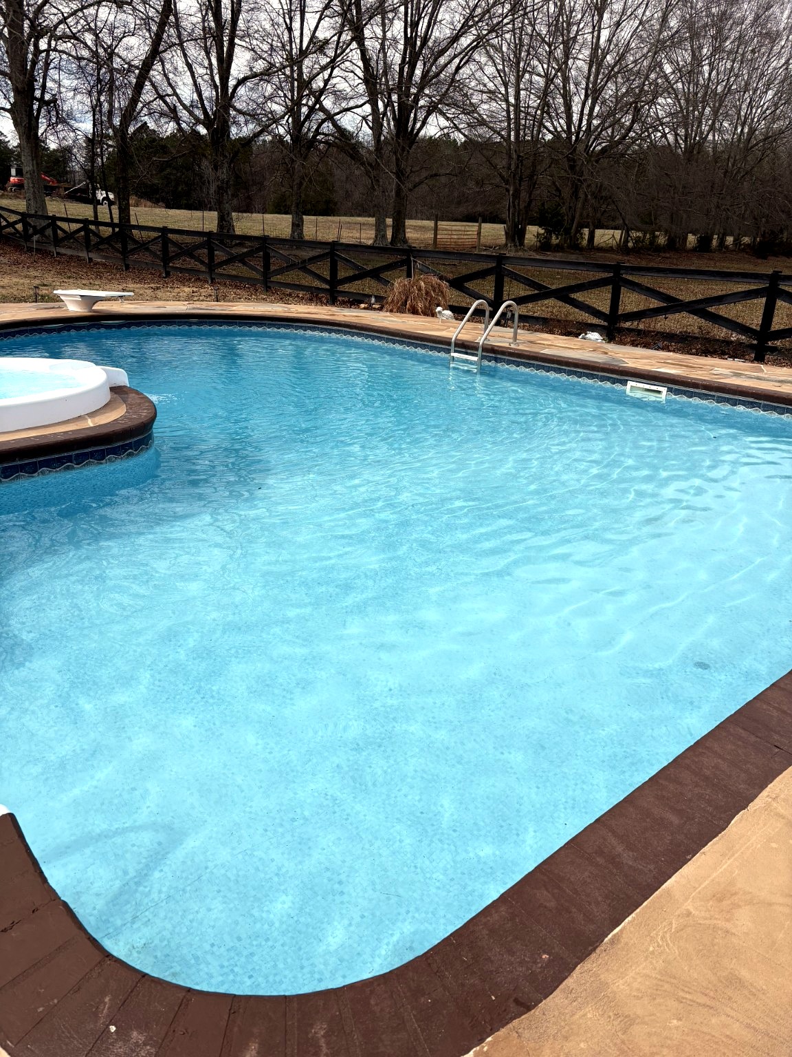 Pool after leaf cleanup